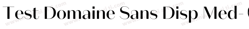 Test Domaine Sans Disp Med字体转换